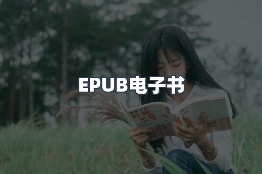 EPUB电子书